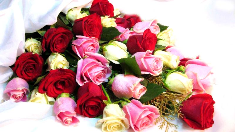 Rose Miksfarger Bukett
